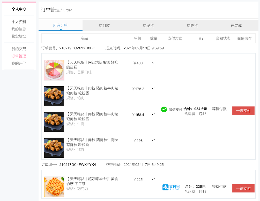 image-20210219214051393