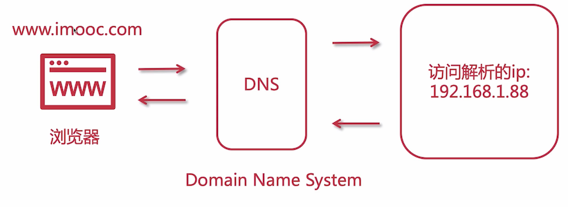 image-20210405123709832